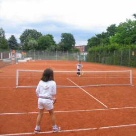 db_IMG_15831_Tb270x270jpg.png